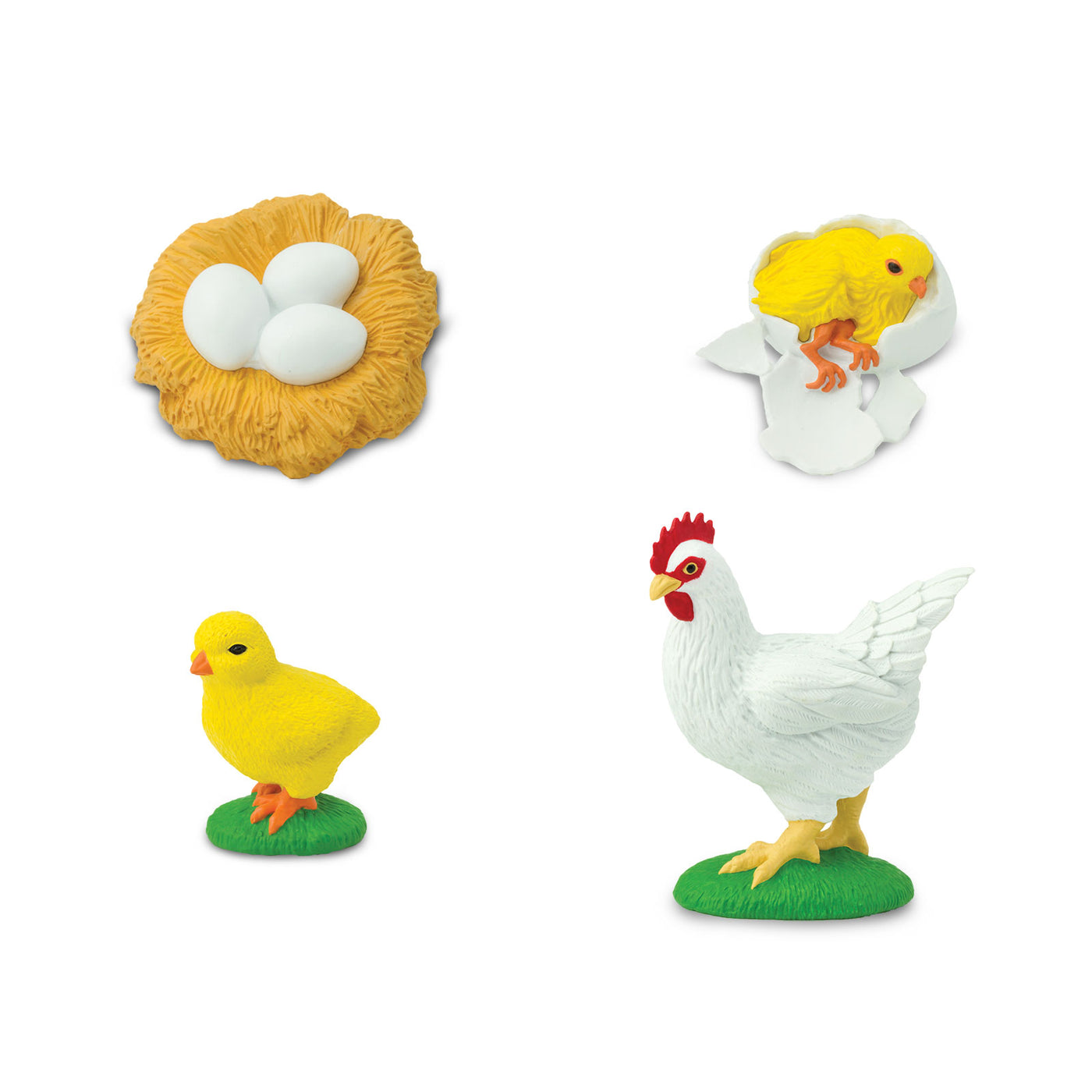 Life Cycle of a Chicken - Safari Ltd®