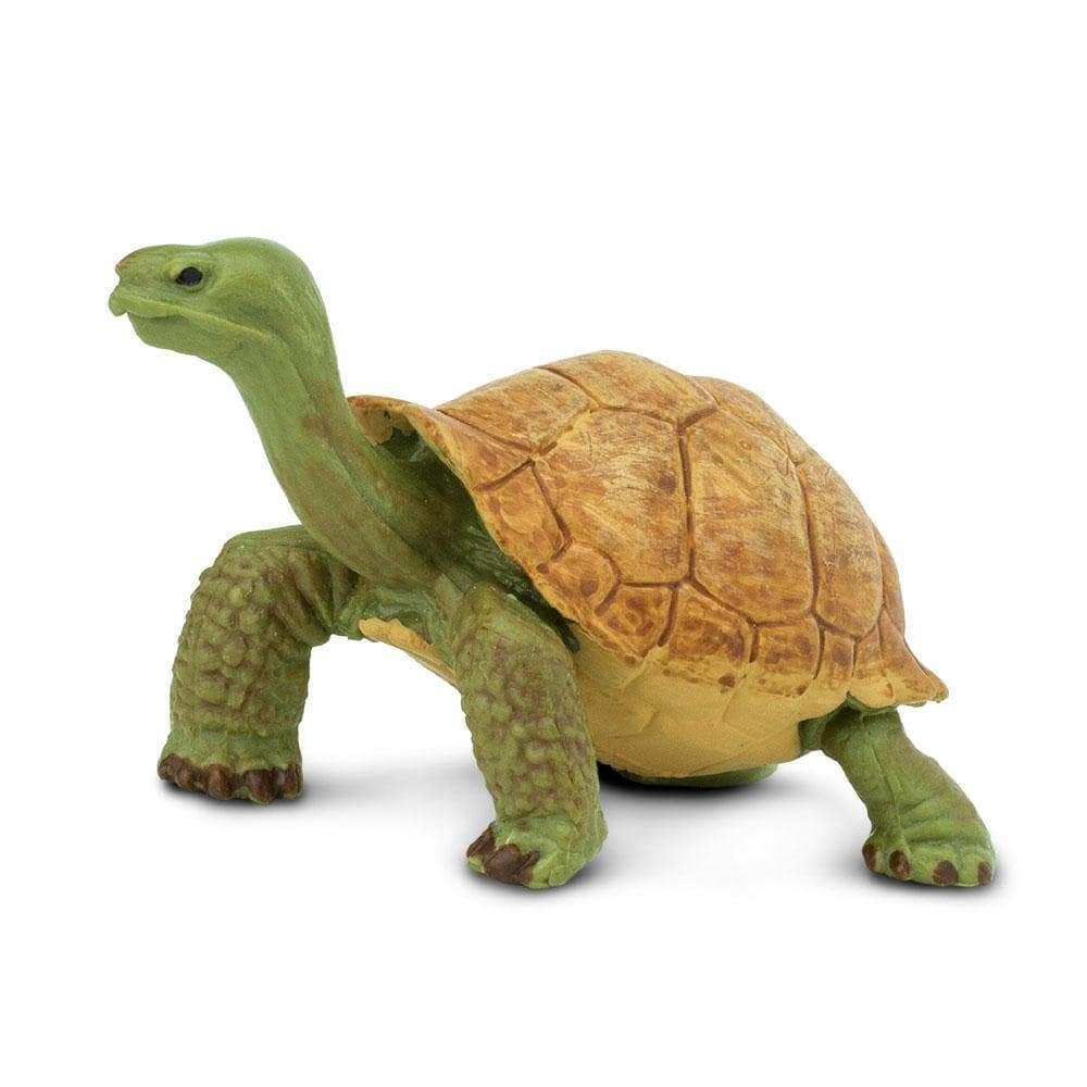 Giant Tortoise Toy