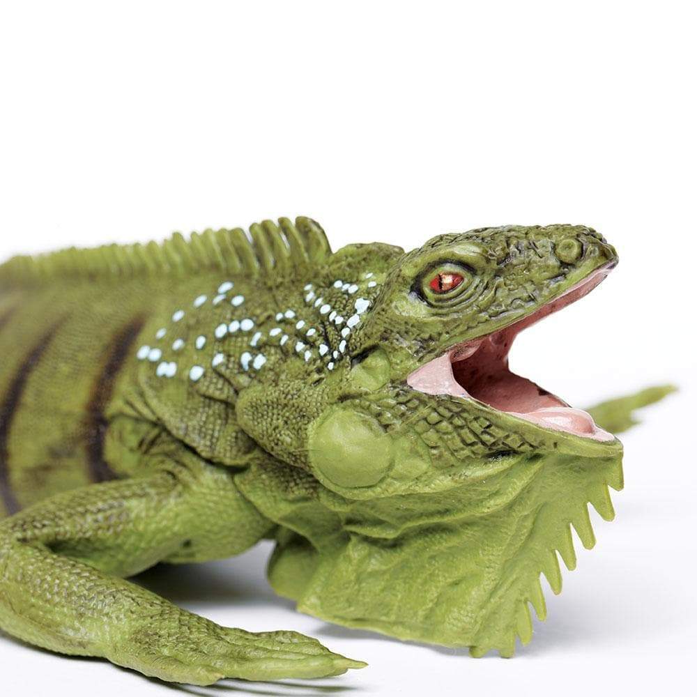 Iguana Toy | Incredible Creatures | Safari Ltd®