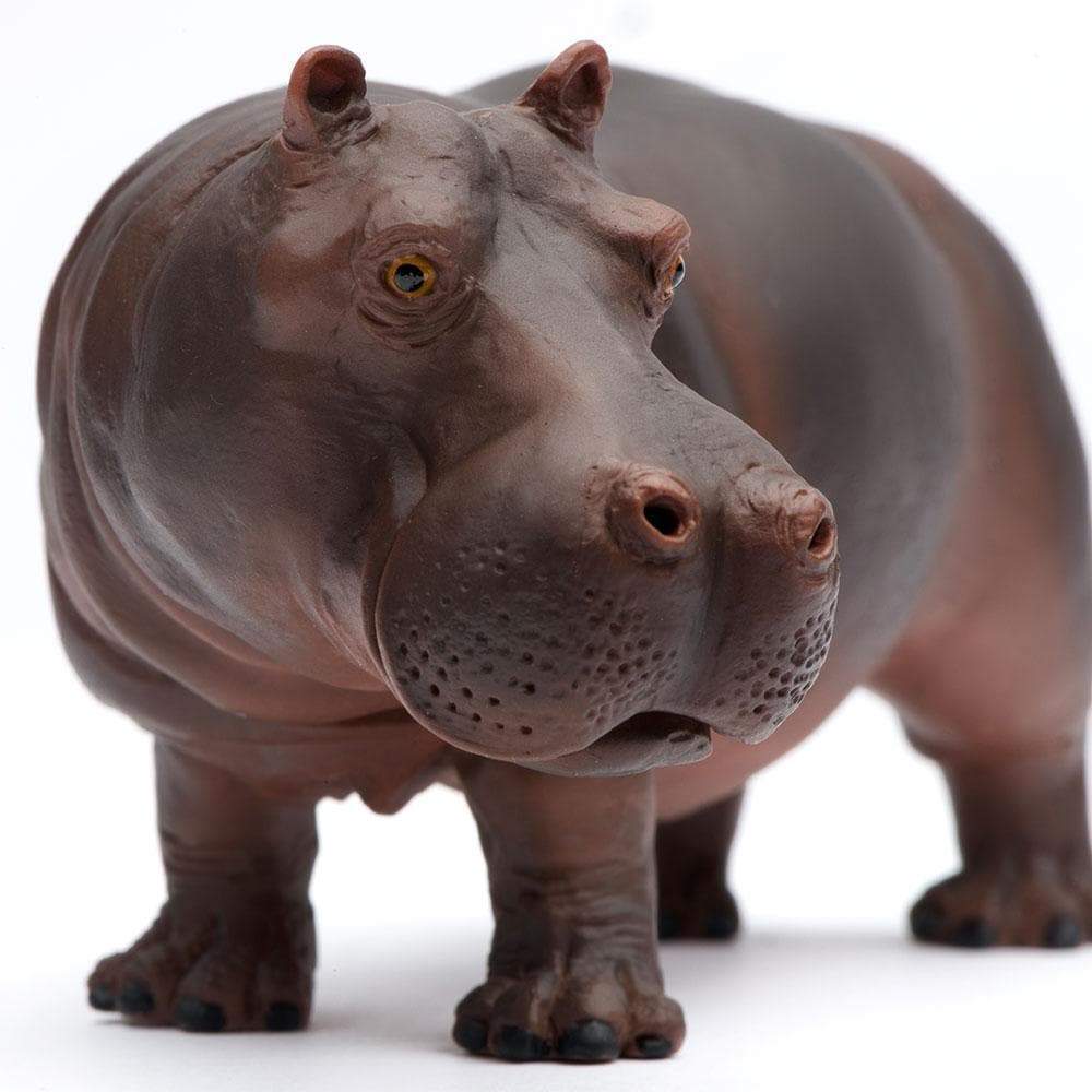 Hippopotamus Toy | Wildlife Animal Toys | Safari Ltd®