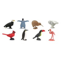 Birds Fun Pack | Montessori Toys | Safari Ltd.