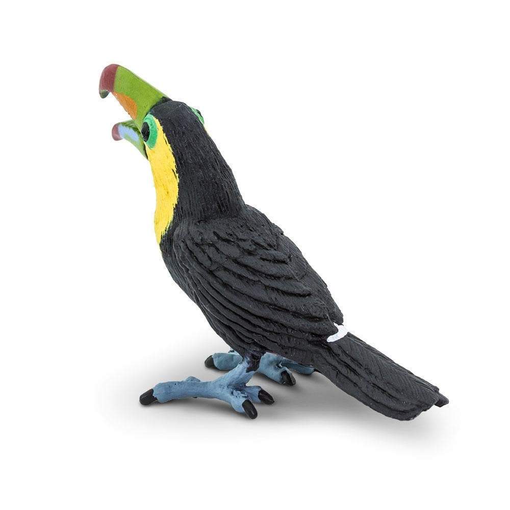 Toucan Toy | Wildlife Animal Toys | Safari Ltd®