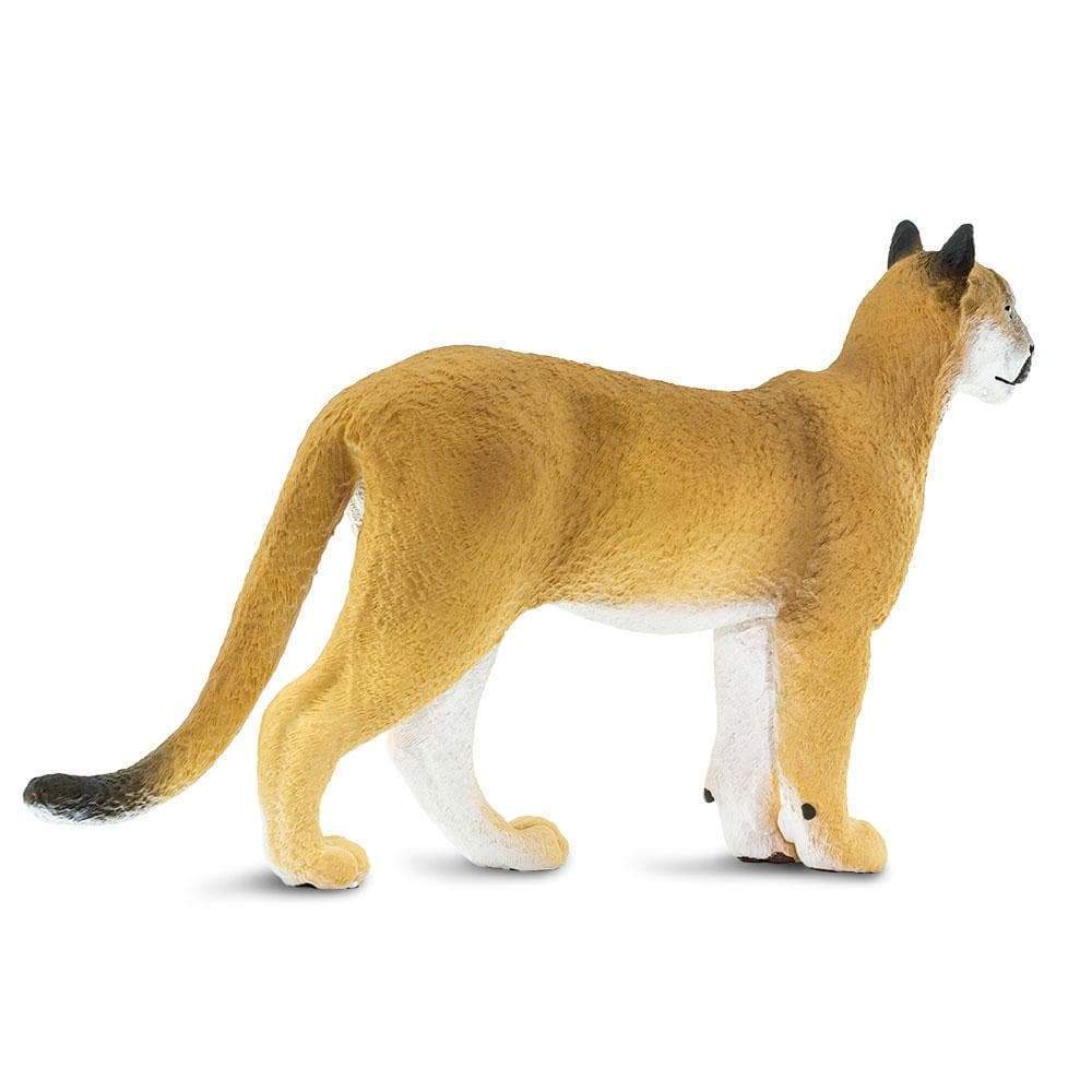 Florida Panther Toy | Wildlife Animal Toys | Safari Ltd®