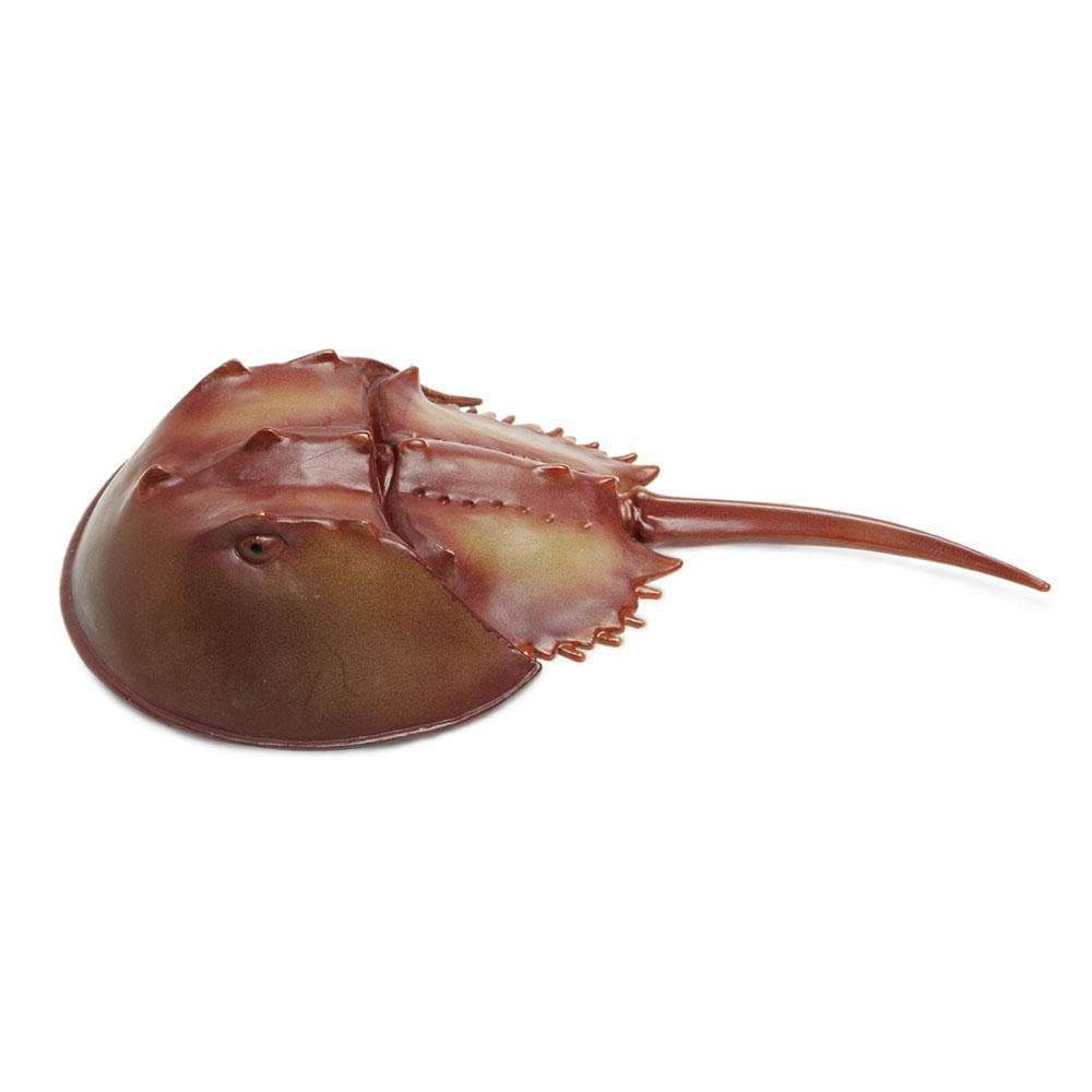 Horseshoe Crab | Incredible Creatures | Safari Ltd®