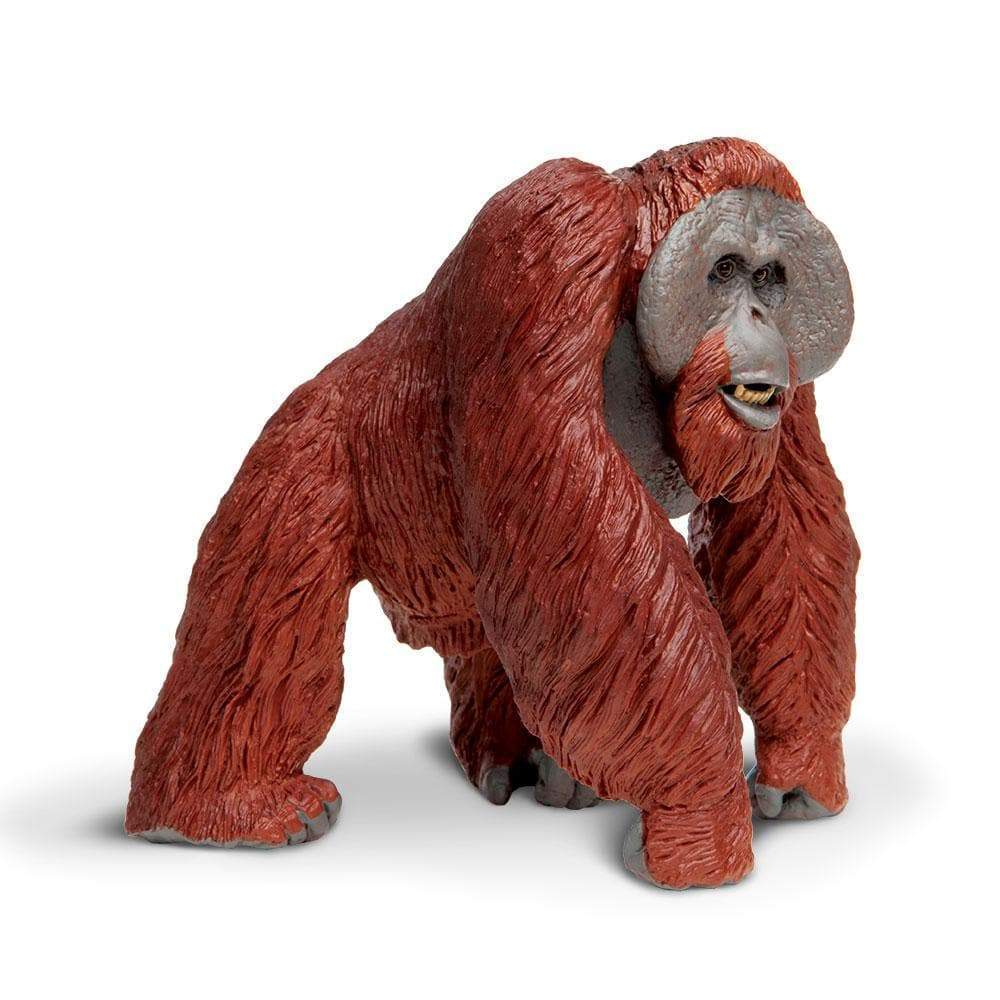 Bornean Orangutan Toy