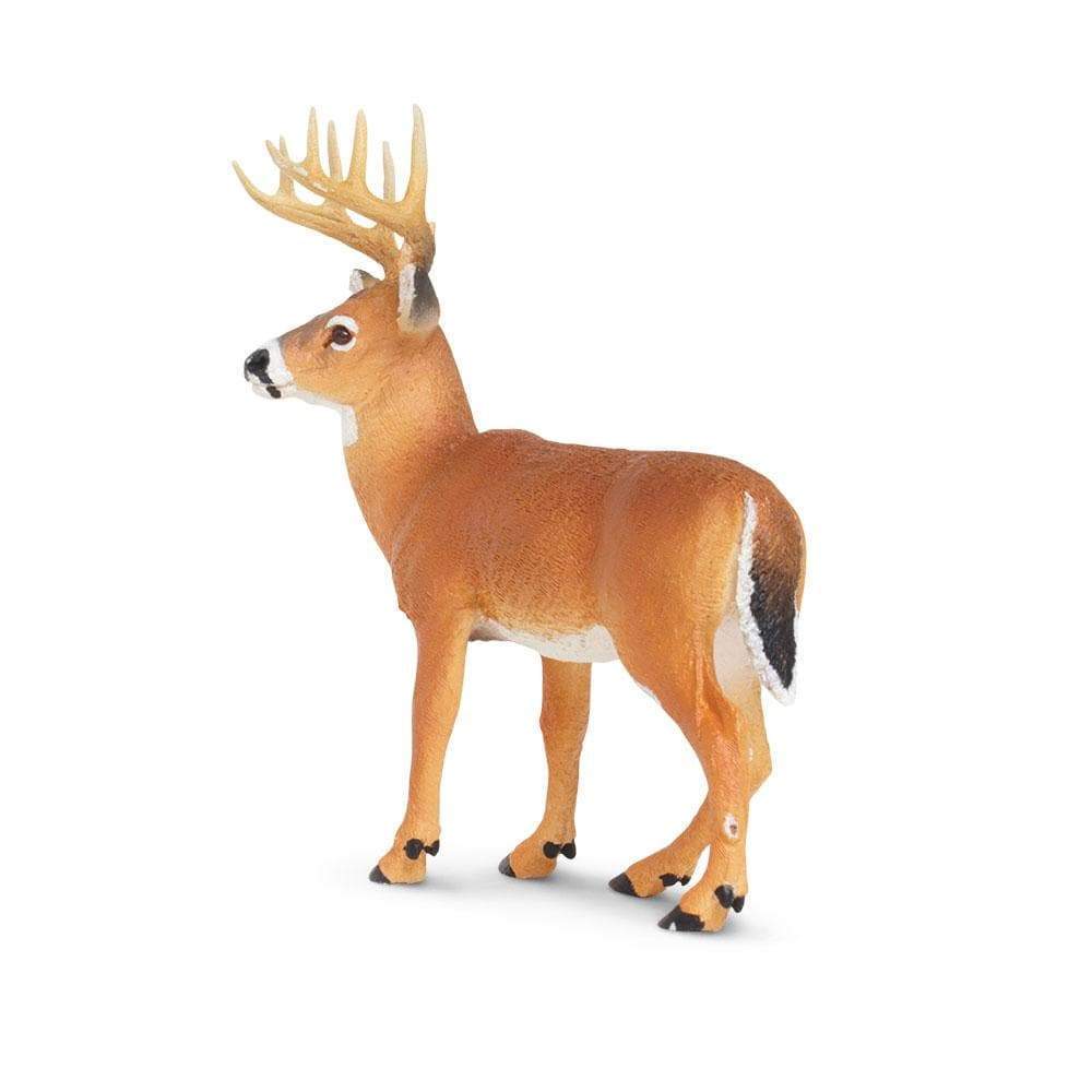 Whitetail Buck Toy | Wildlife Animal Toys | Safari Ltd.