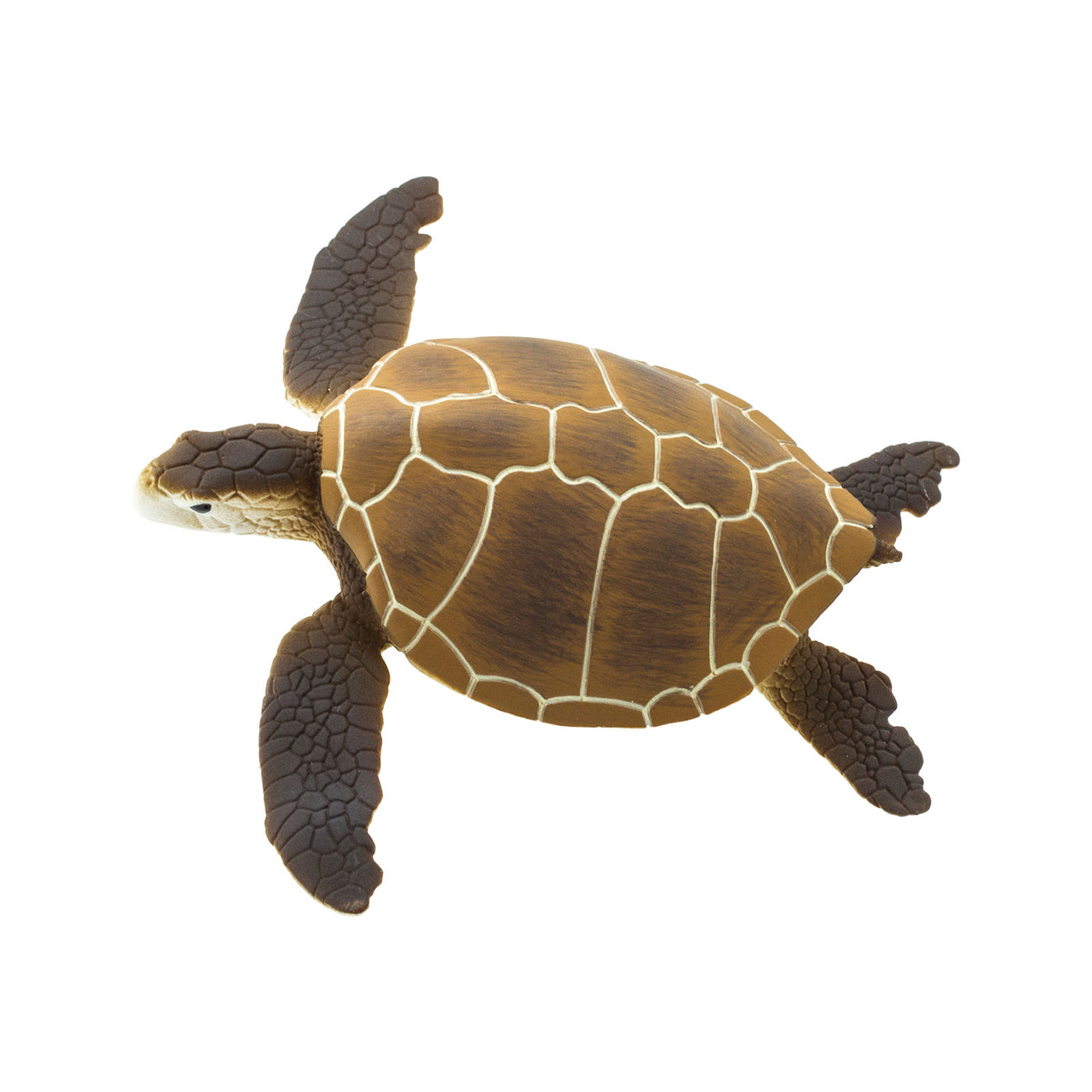 Green Sea Turtle Toy - Sea Life Toys by Safari Ltd.