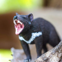 Tasmanian Devil Toy