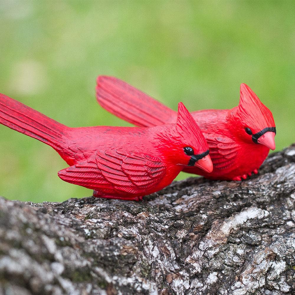 Cardinal Toy