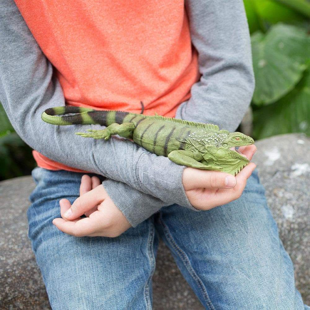 Iguana Toy | Incredible Creatures | Safari Ltd®