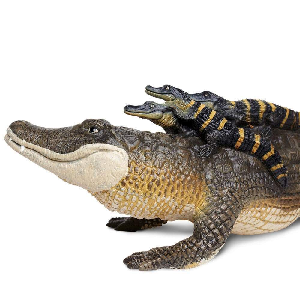 Alligator with Babies Toy