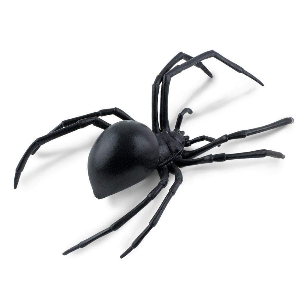 Black Widow Spider Toy | Incredible Creatures | Safari Ltd®