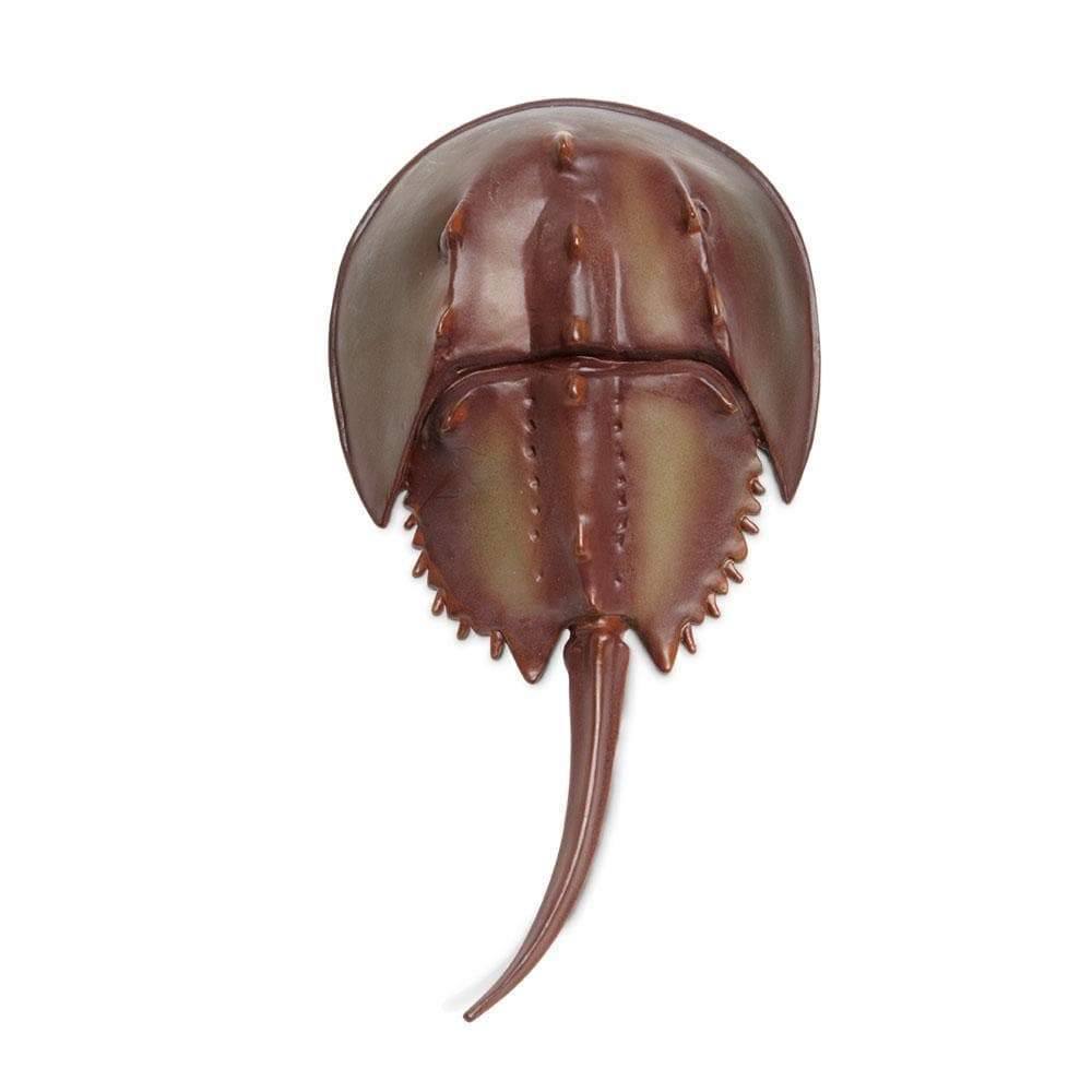 Horseshoe Crab | Incredible Creatures | Safari Ltd®