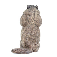 Groundhog Toy | Incredible Creatures | Safari Ltd®