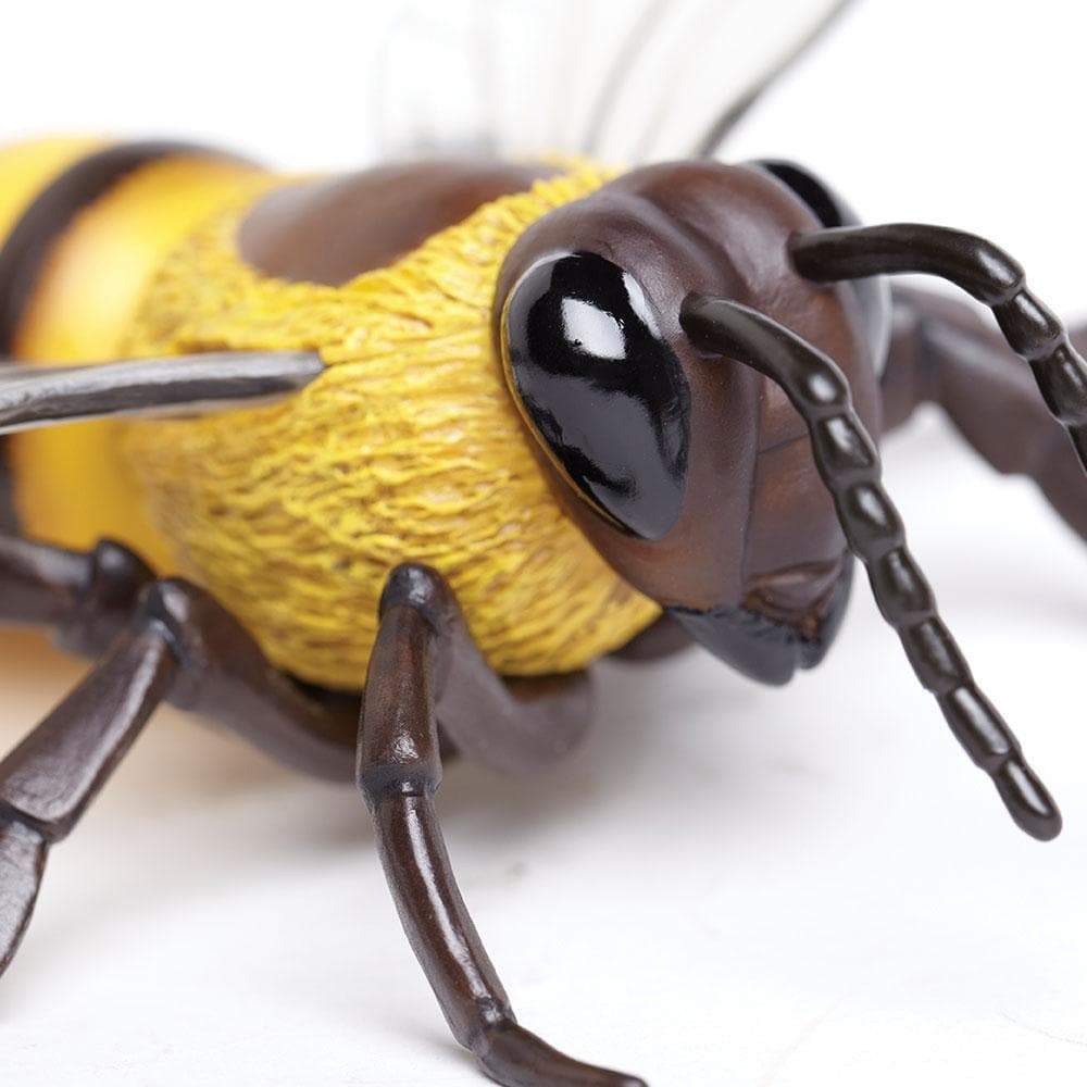 Honey Bee Toy | Incredible Creatures | Safari Ltd®