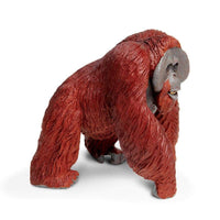 Bornean Orangutan Toy