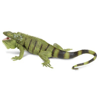 Iguana - Safari Ltd®