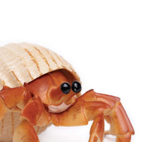 Hermit Crab Toy | Incredible Creatures | Safari Ltd®