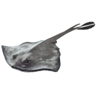 Sting Ray - Safari Ltd®