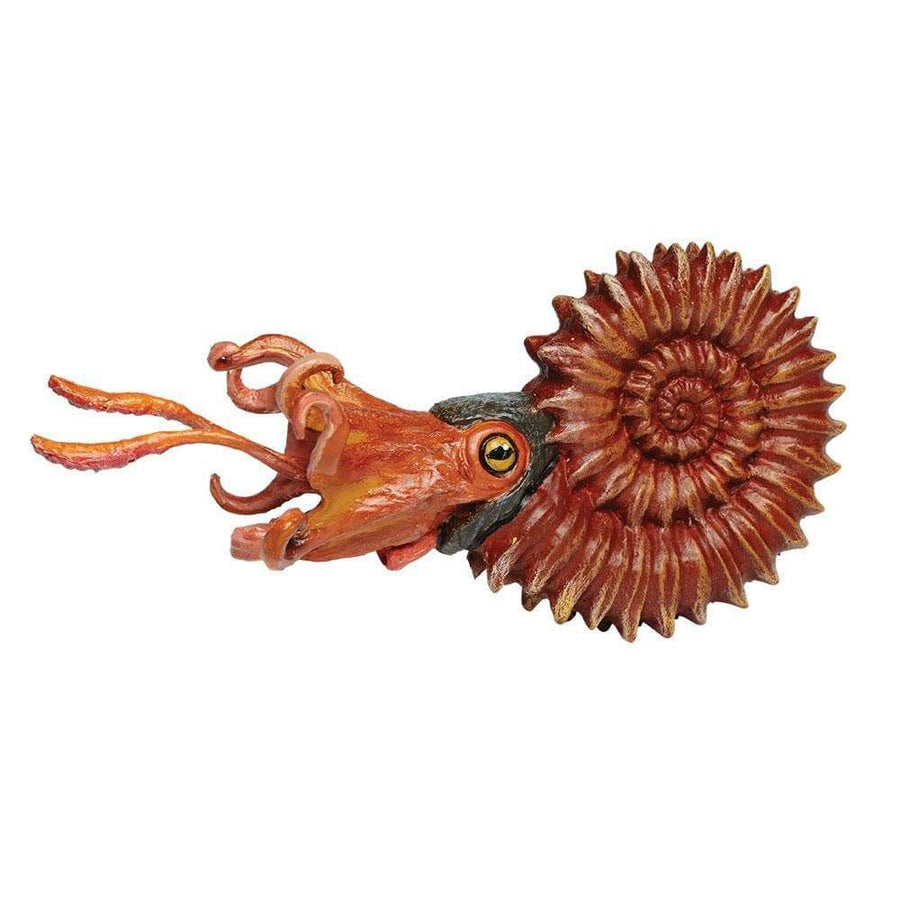 Ammonite Toy | Dinosaur Toys | Safari Ltd.