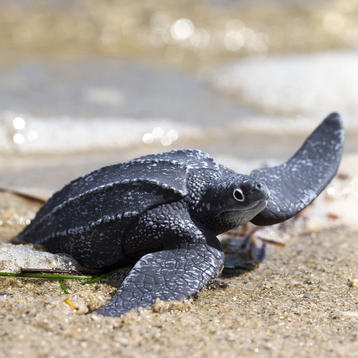 Leatherback Sea Turtle Toy