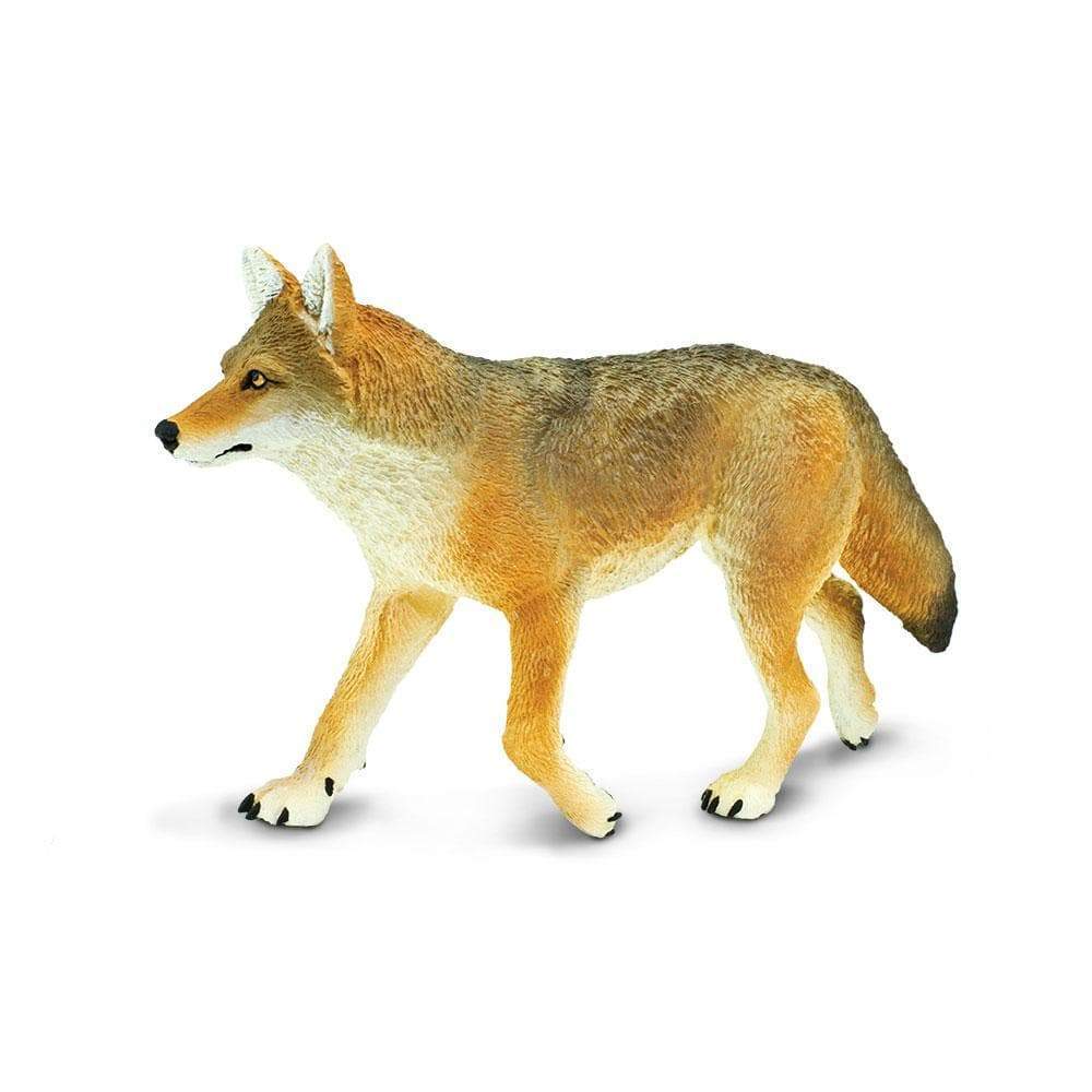 Coyote Toy | Wildlife Animal Toys | Safari Ltd.