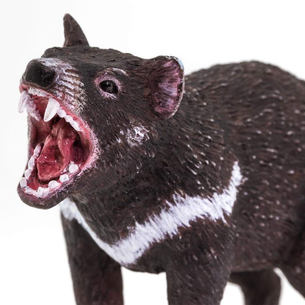 Tasmanian Devil Toy