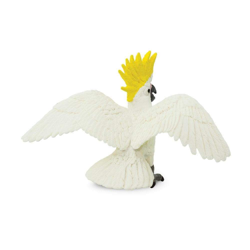 Cockatoo Toy