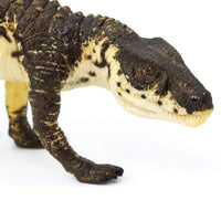 Postosuchus Toy | Dinosaur Toys | Safari Ltd®