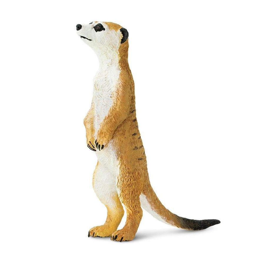 Meerkat Toy | Wildlife Animal Toys | Safari Ltd.