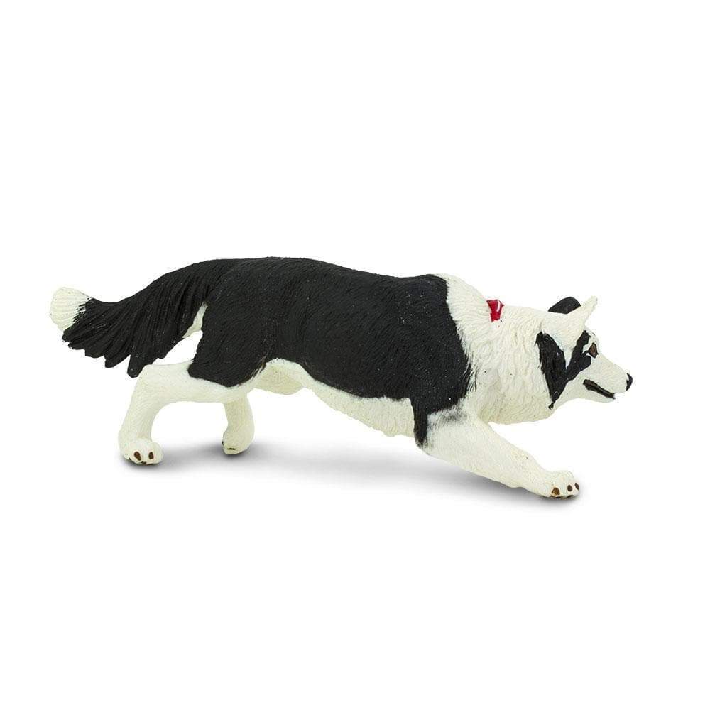 Border Collie Toy | Farm | Safari Ltd®