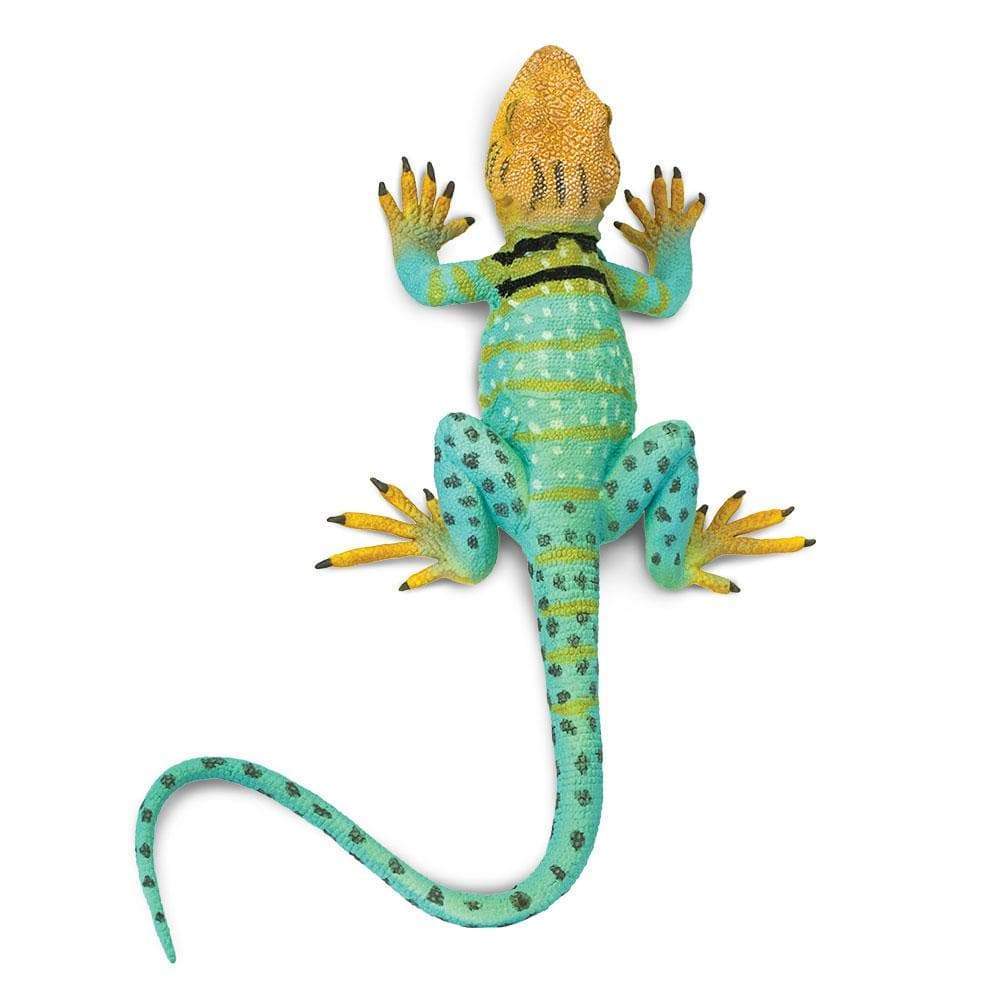 Collared Lizard Toy