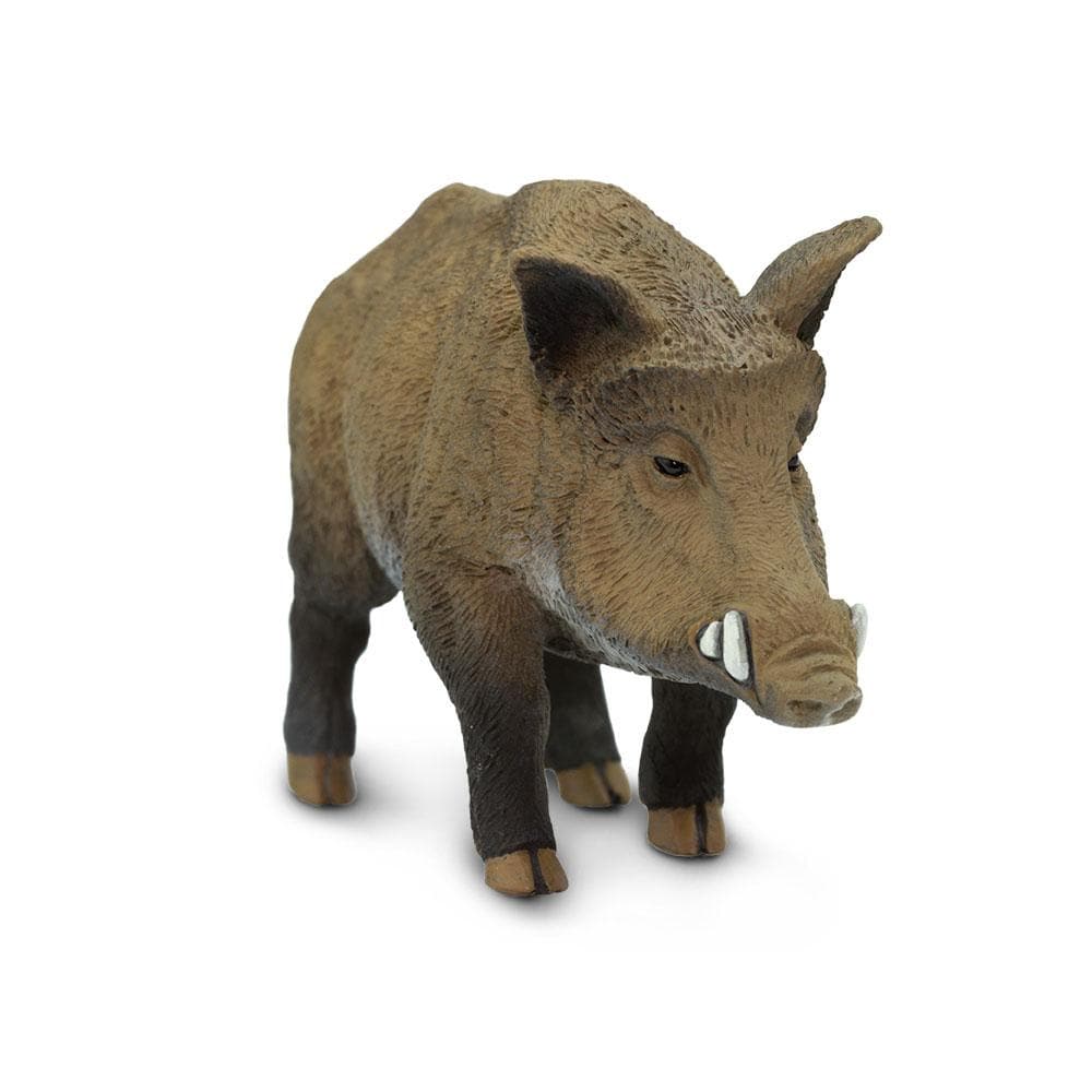 Boar Toy