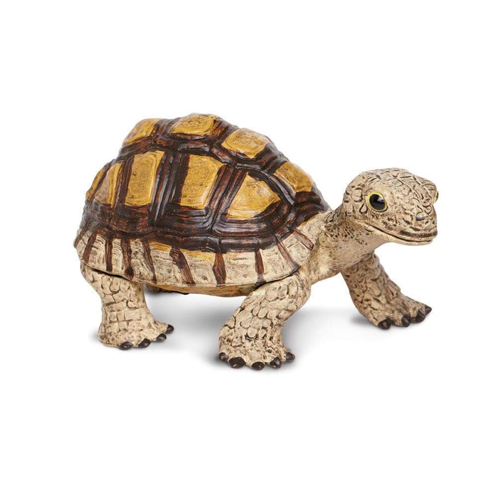 Tortoise - Safari Ltd®