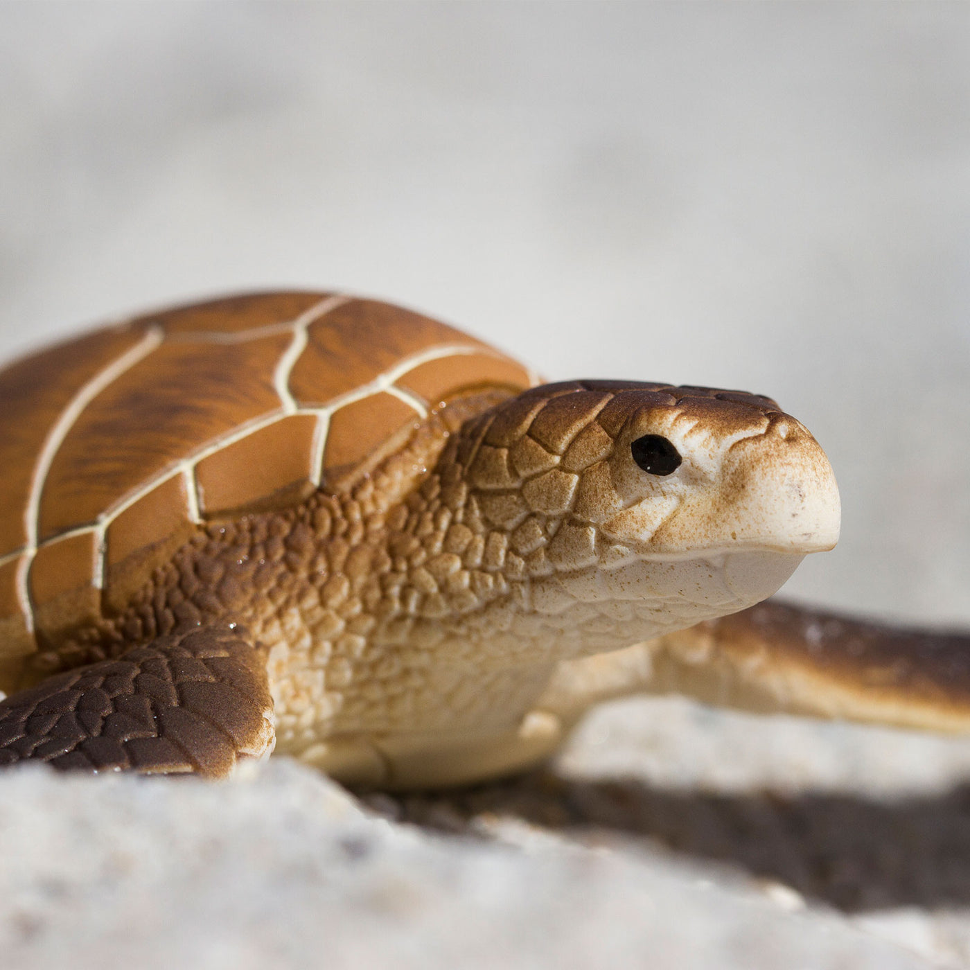 Green Sea Turtle Toy