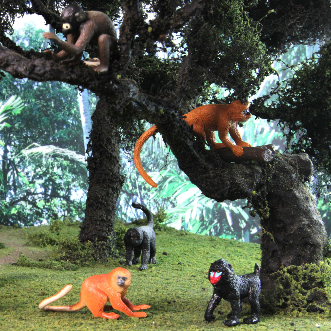 Monkeys & Apes TOOB® | TOOBS® - Mini Toys | Safari Ltd®