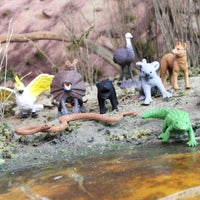 The Land Down Under TOOB® | TOOBS® - Mini Toys | Safari Ltd®