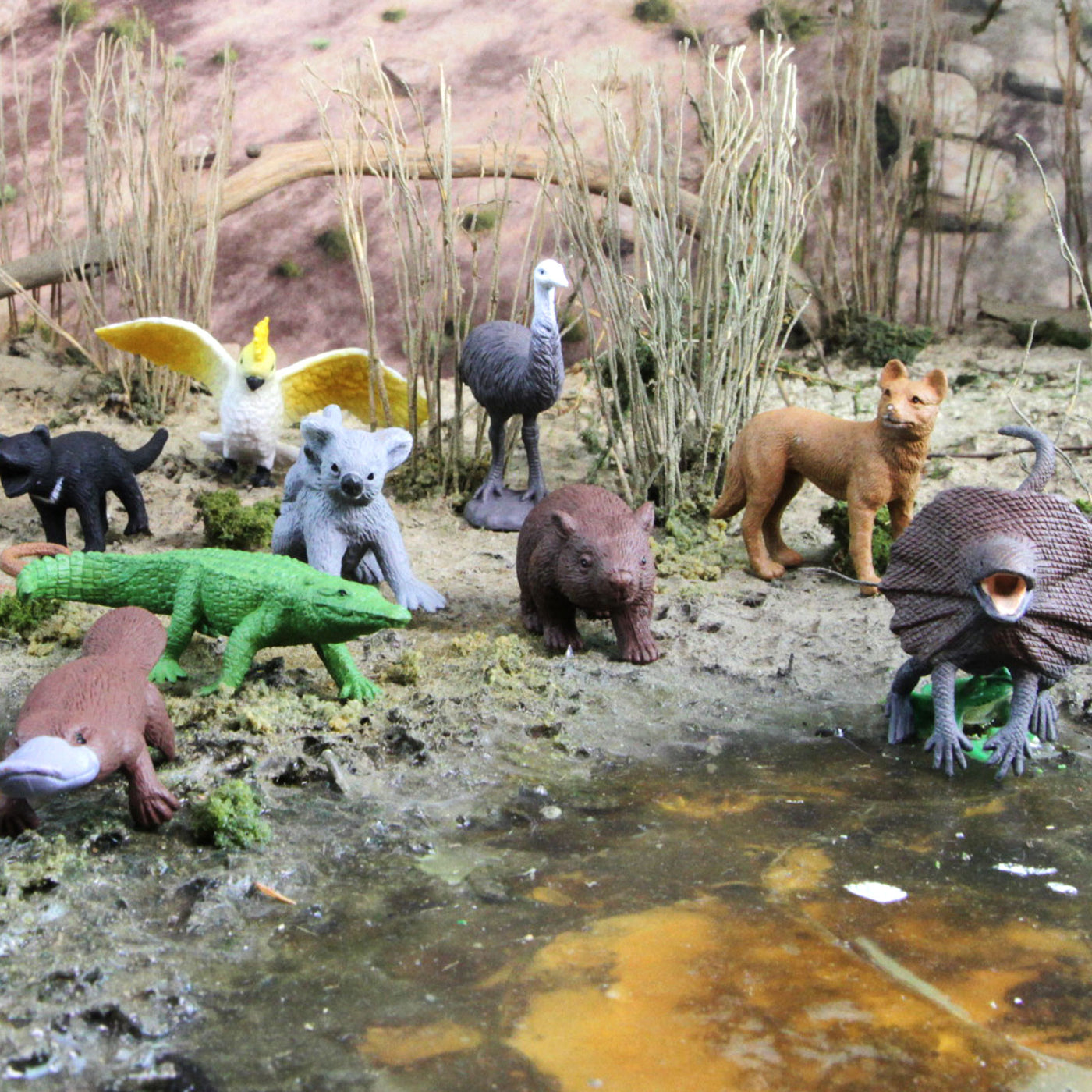 The Land Down Under TOOB® | TOOBS® - Mini Toys | Safari Ltd®