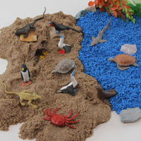 Galapagos TOOB® | TOOBS® - Mini Toys | Safari Ltd®