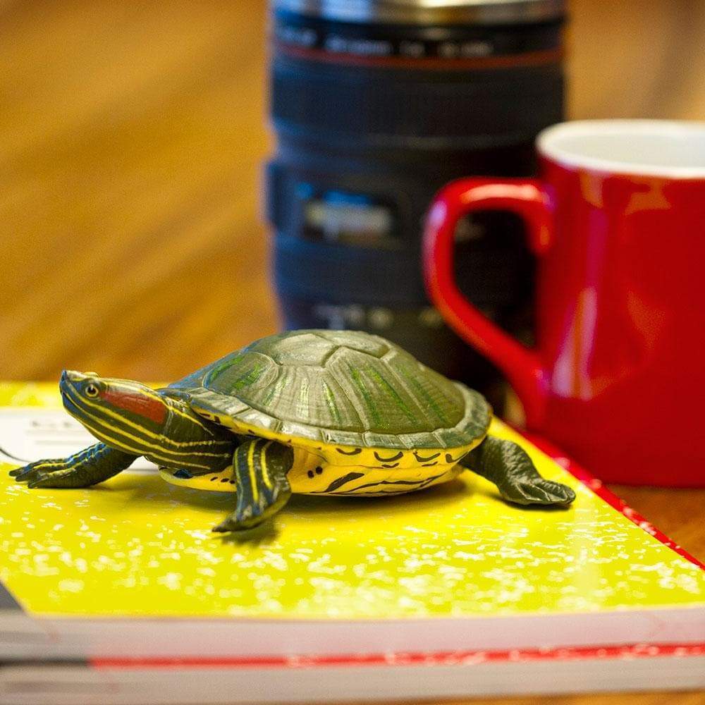 Red-Eared Slider Turtle Toy | Incredible Creatures | Safari Ltd®