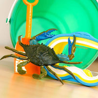 Blue Crab - Safari Ltd®