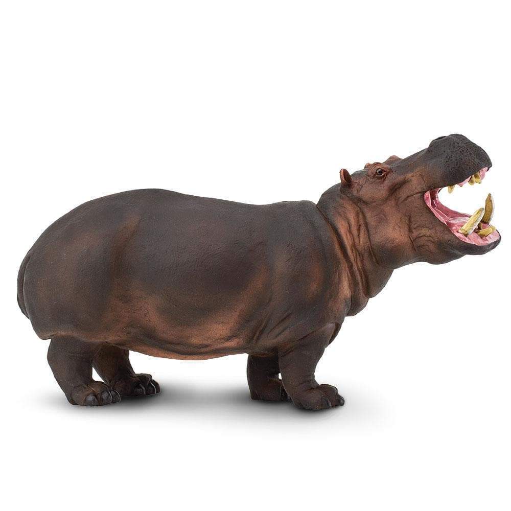 Hippopotamus Toy | Wildlife Animal Toys | Safari Ltd.