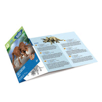 Dr. Steve Hunters GEOWorld Dino Dig Triceratops Excavation Kit - 12 pieces |  | Safari Ltd®