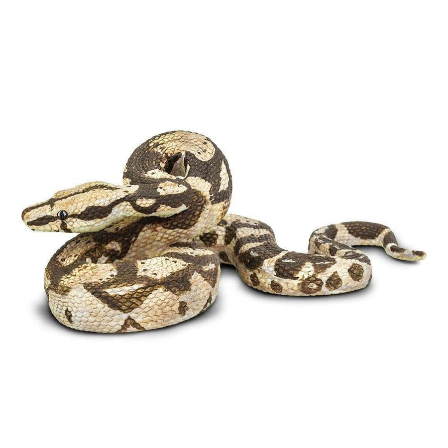 Boa Constrictor - Safari Ltd®