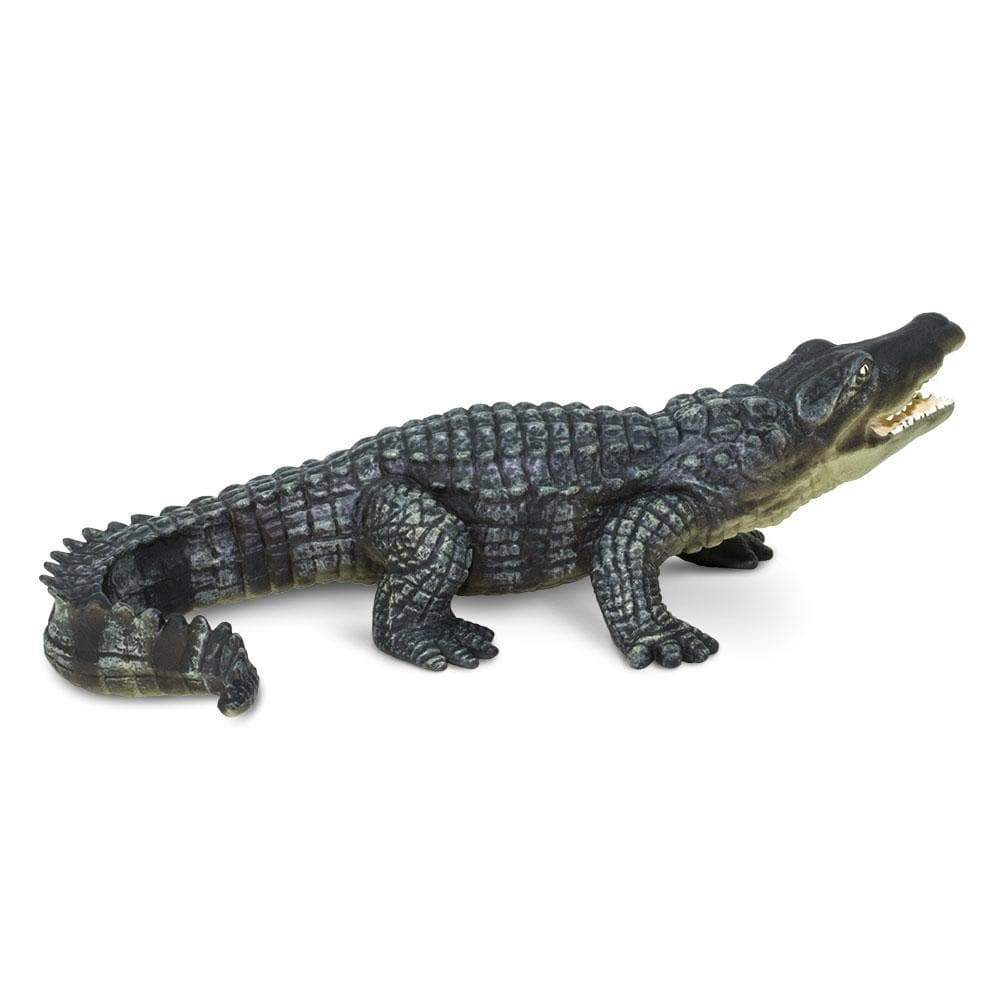 Crocodile Toy