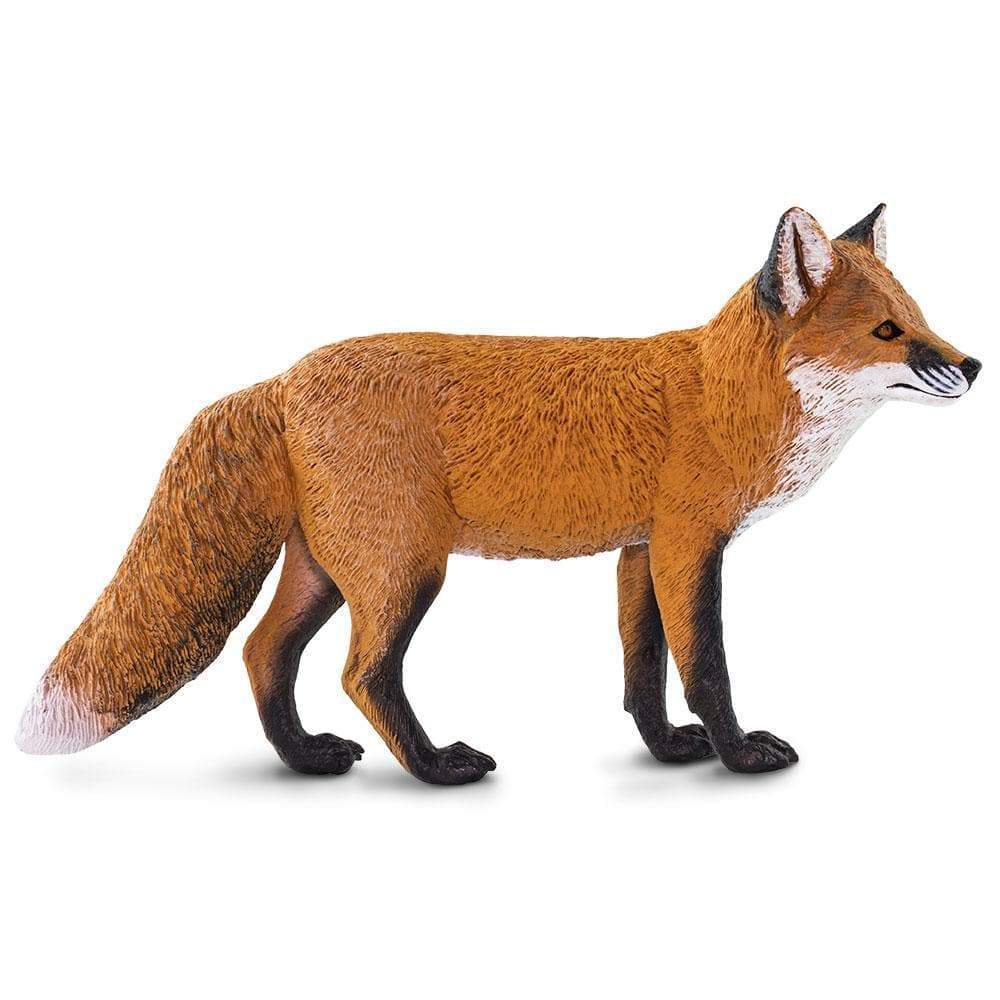 Red Fox - Safari Ltd®