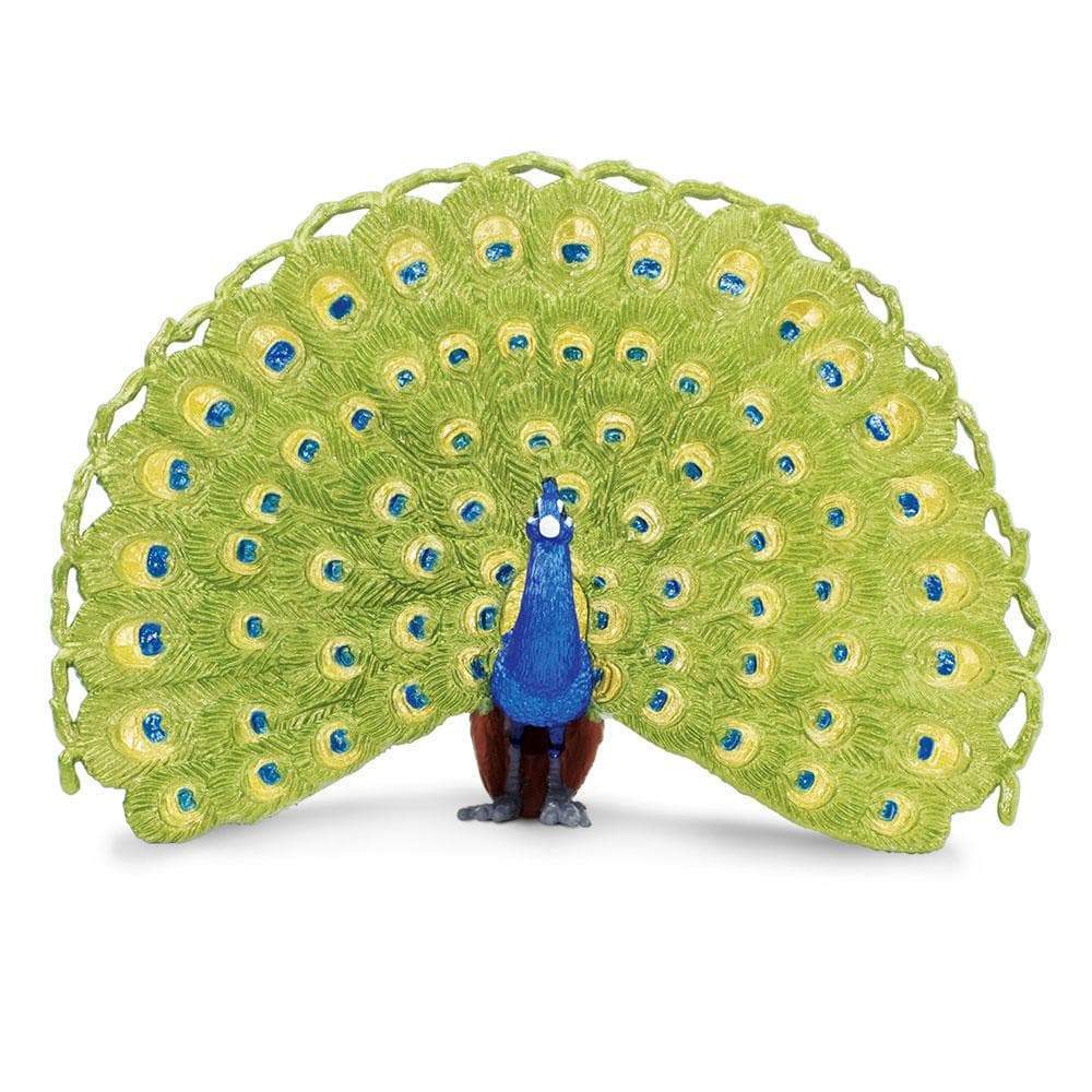 Peacock Toy | Wildlife Animal Toys | Safari Ltd®