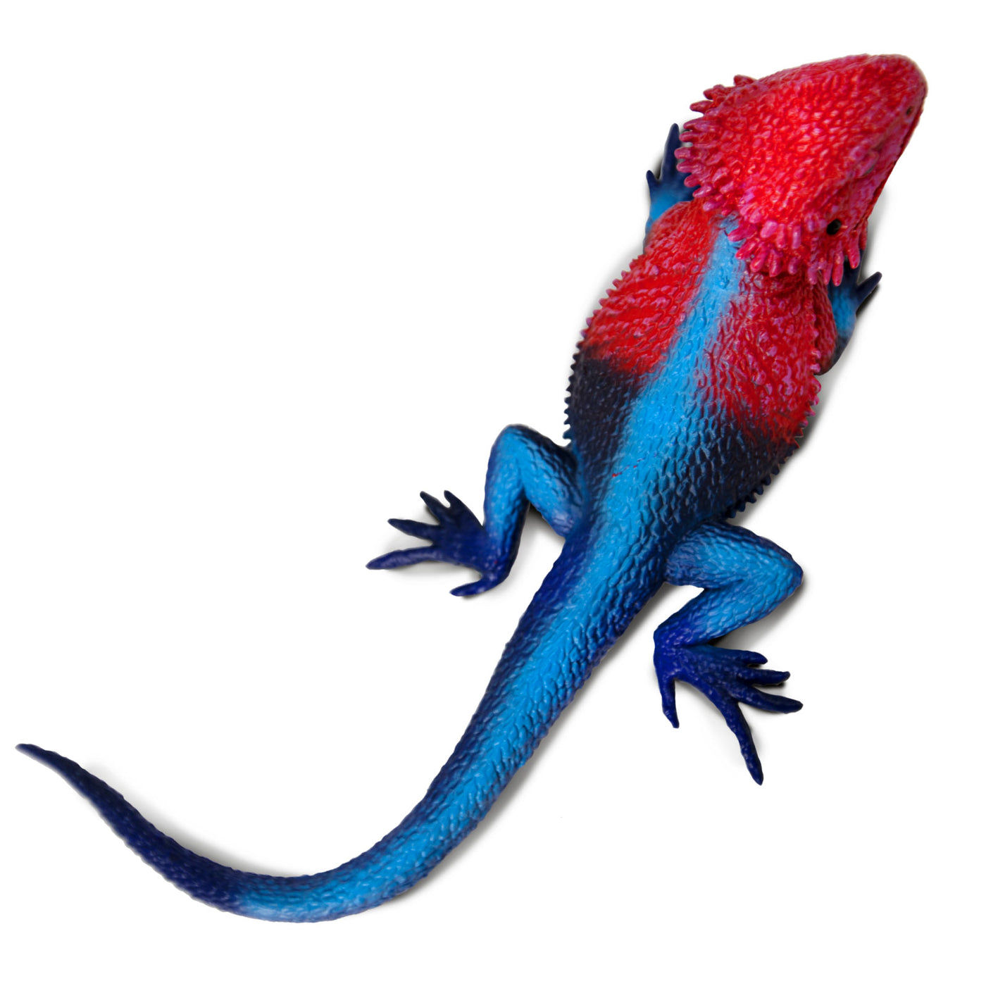 Mwanza Flat-Headed Rock Agama Toy Figure |  | Safari Ltd®