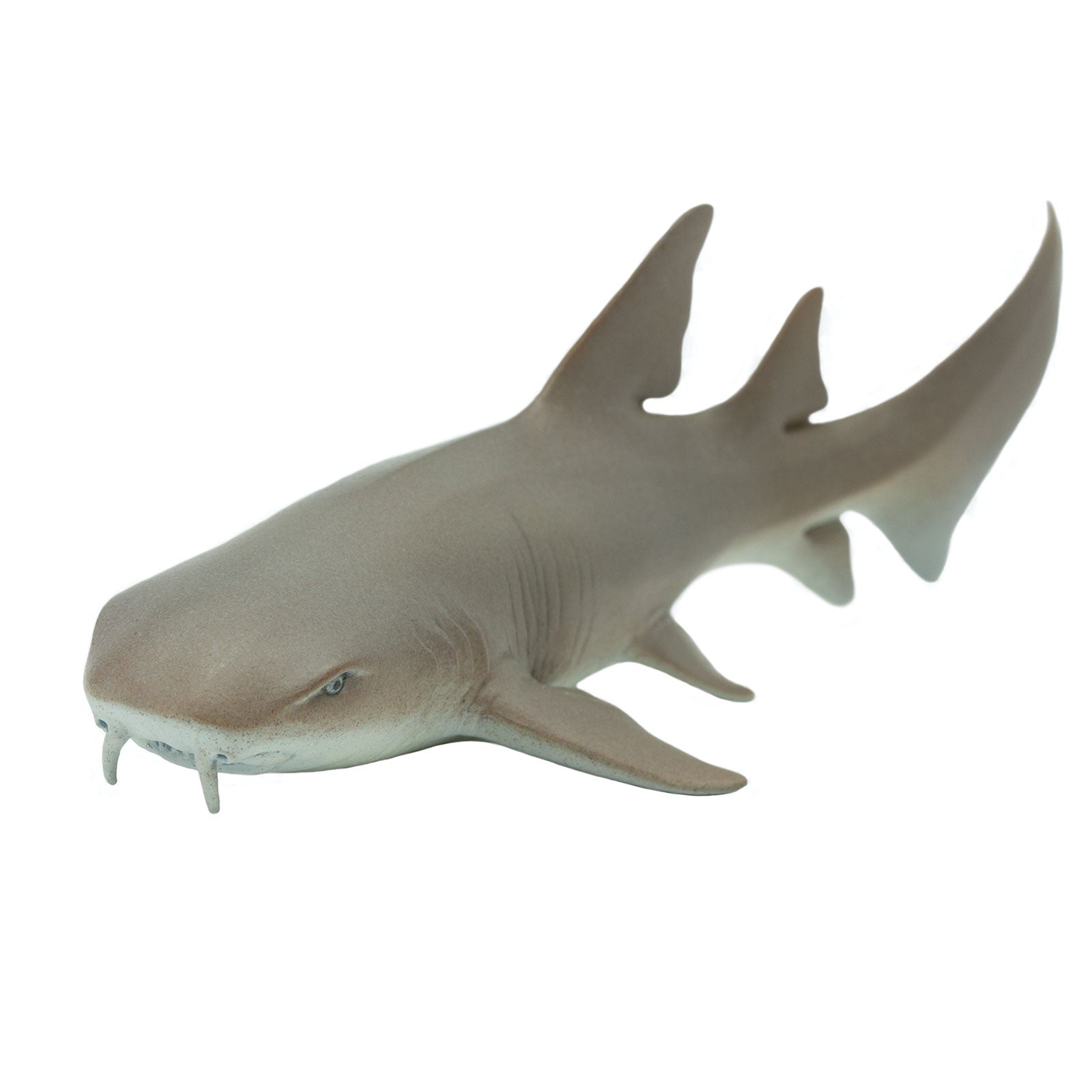 Nurse Shark Toy