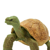 Giant Tortoise Toy